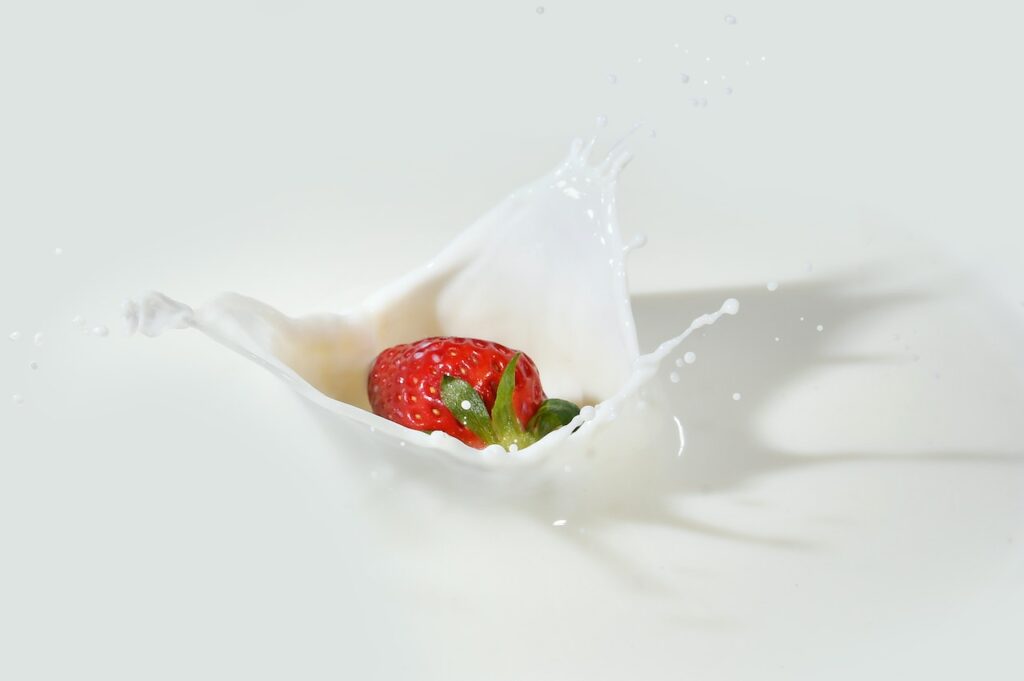 Fraise rouge plongée dans du lait - alimentation grosssesse